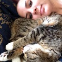 Prednisone: Friend Or Enemy 