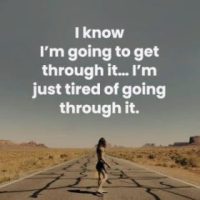 Year 11 Post&nbsp;Transplant